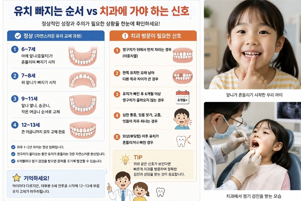 이빨이 흔들려서 병원을 간 아이