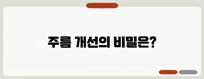 주름다나와 효과와 사용 후기