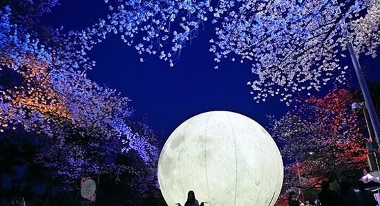 서울 렛츠런파크