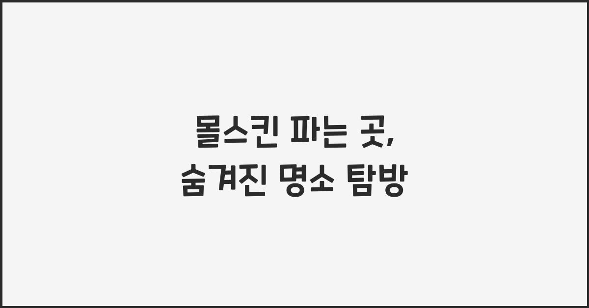 몰스킨 파는 곳