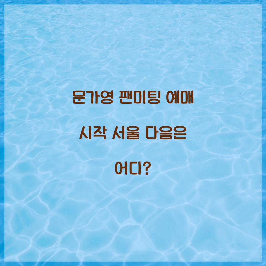 문가영 팬미팅 예매