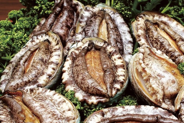 이마트할인행사 말복 보양식 50% 세일 바로가기