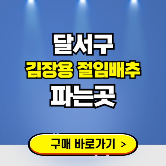 달서구 절임배추 사전예약 구입하는곳 ❘ 김장배추 파는곳 가격보기