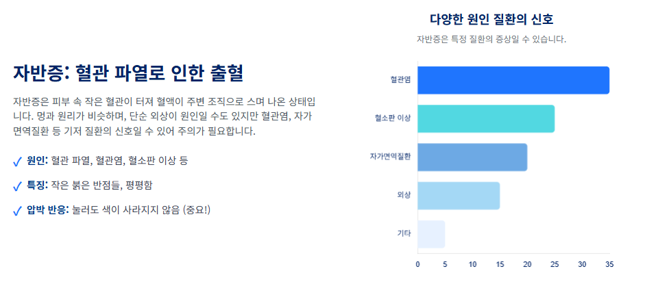 피부에 생긴 붉은 반점, 노화의 흔적? 위험 신호? 혈관종 vs 자반증, 헷갈리면 안 되는 이유