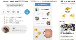 강아지 눈 영양제