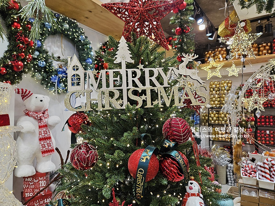 부산 크리스마스 명소 가볼만한곳 TOP 7