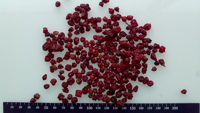 오미자차효능베스트7