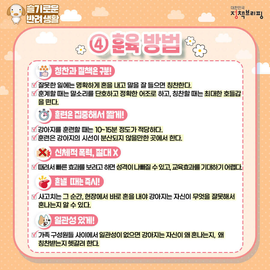 강아지훈련하는방법