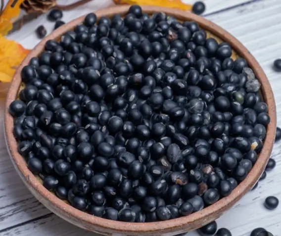 신우신염-좋은음식-검은콩