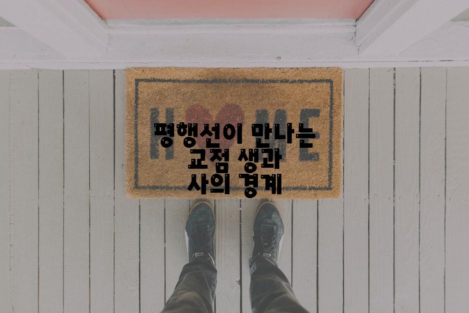 평행선이 만나는 교점 생과 사의 경계