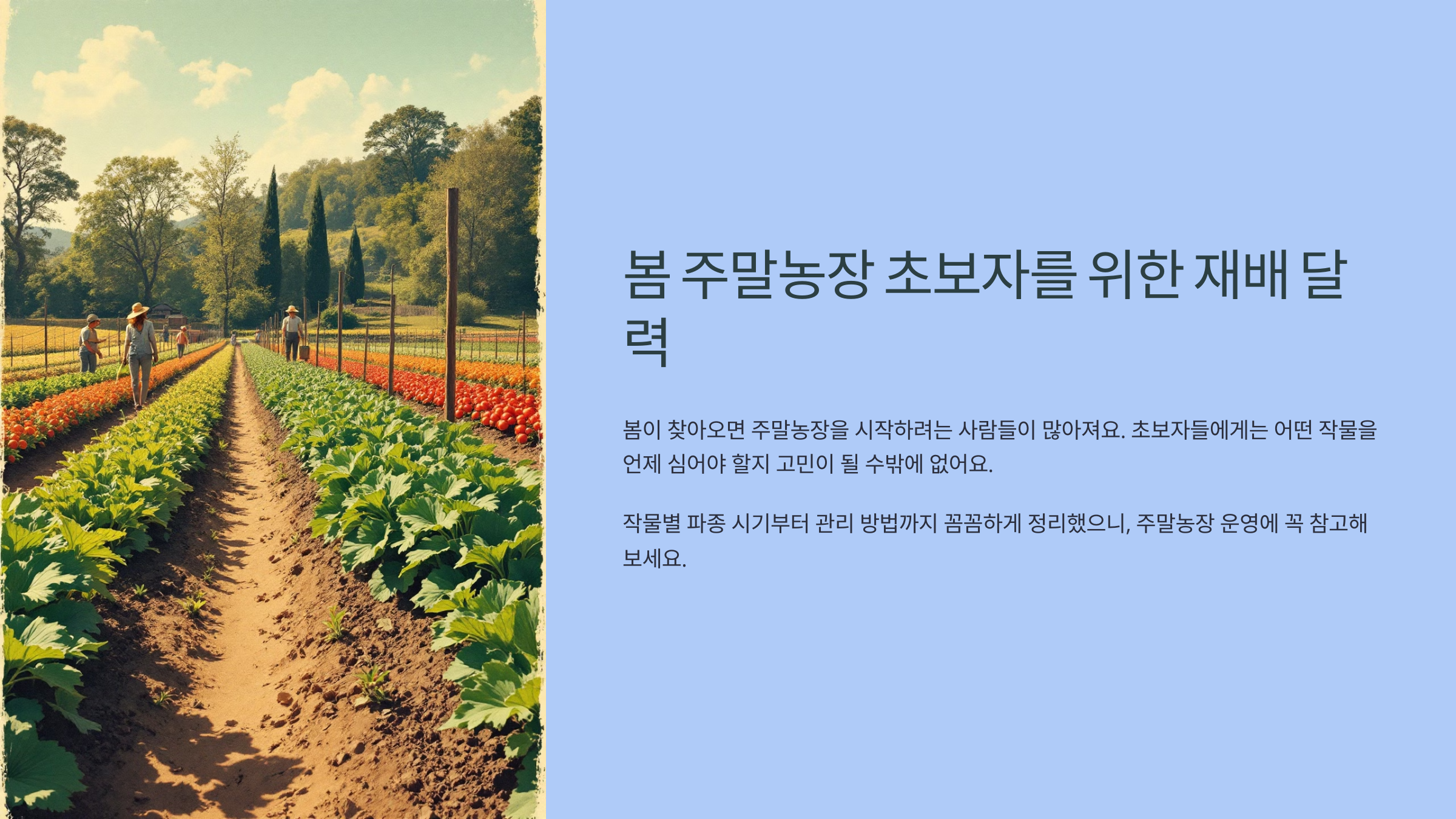 봄 주말농장 초보자를 위한 재배 달력
