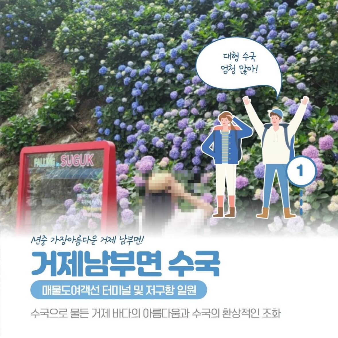 거제 저구항 수국축제