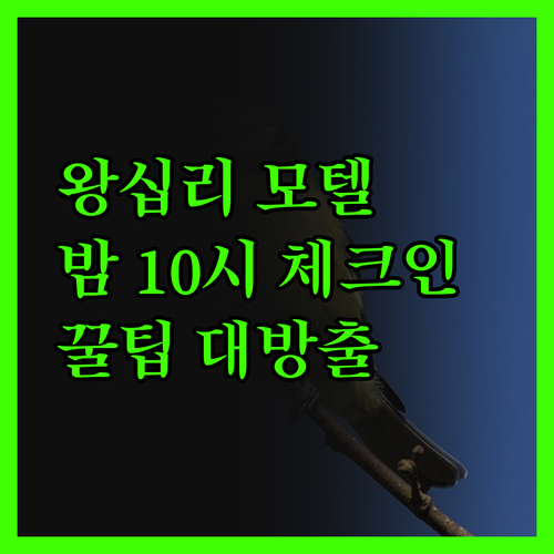 왕십리 현대 모텔 밤 10시 체크인?