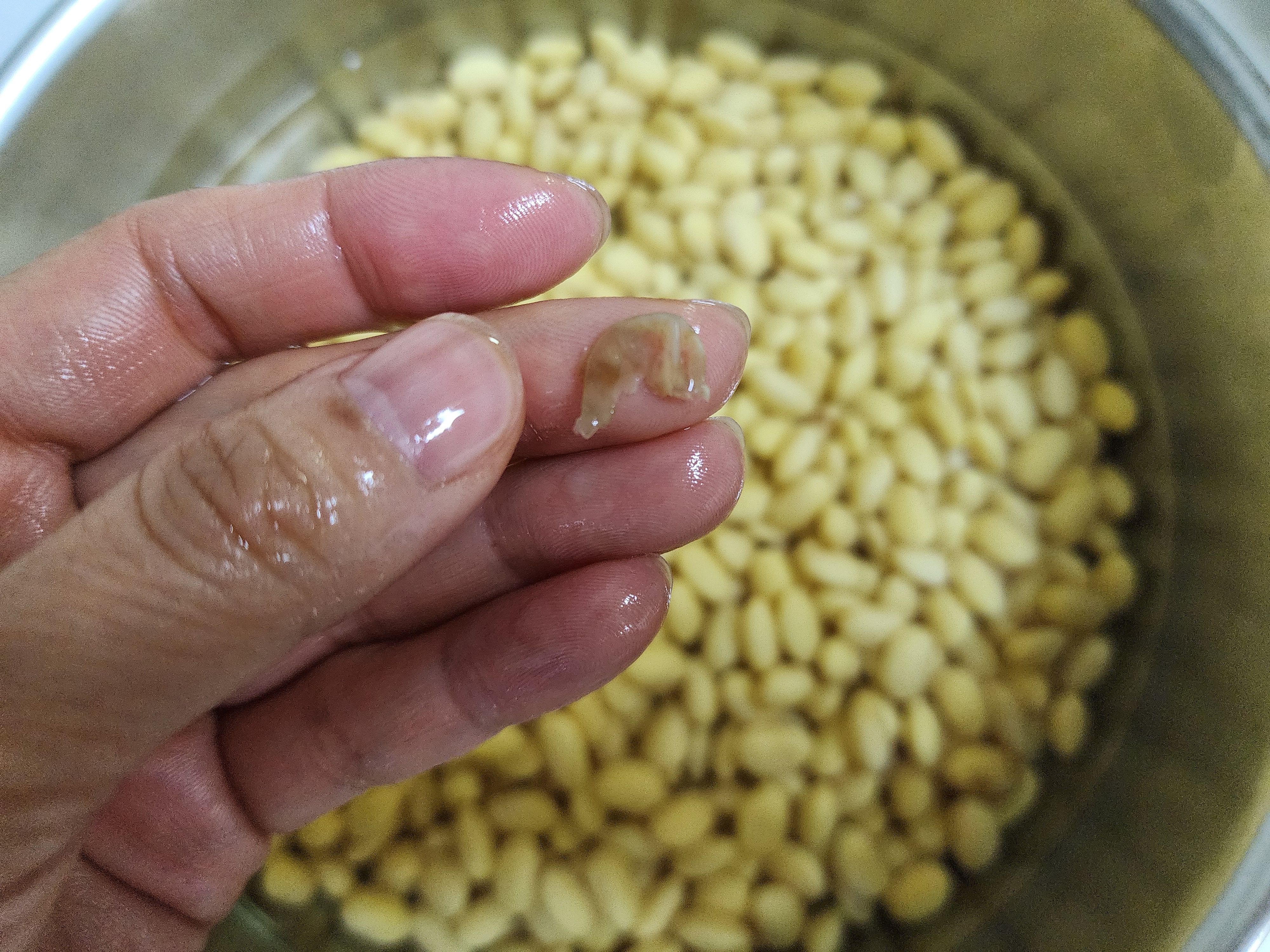 콩물 만들기&amp;#44; 고소하게 콩국수 콩삶기