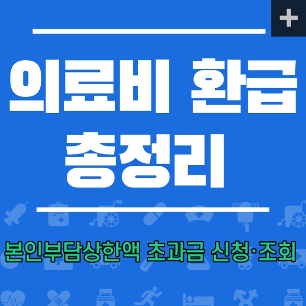 의료비 환급, 본인부담상한액, 건강보험 환급, 본인부담 환급, 의료비 환급 제도, 건강보험 혜택, 병원비 환급, 의료비 지원 제도, 병원비 돌려받기, 의료비 절감