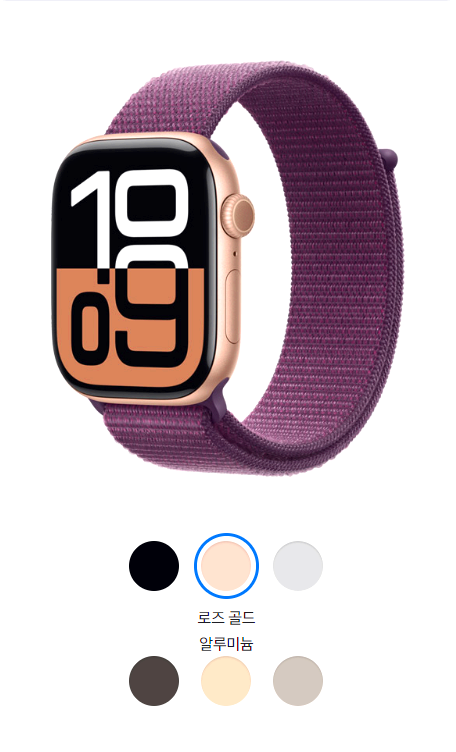 애플워치 10