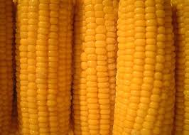 옥수수 맛있게 삶는 방법