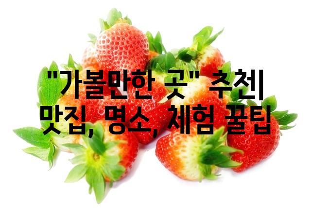 랜덤205