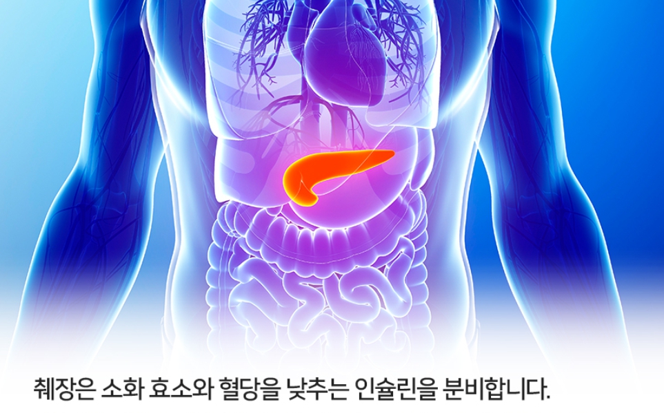 췌장암 초기증상 관리법 총정리