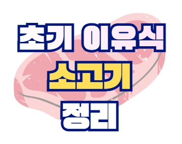 초기 이유식 소고기 정리