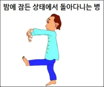 밤에 잠든 상태에서 돌아다니는 병