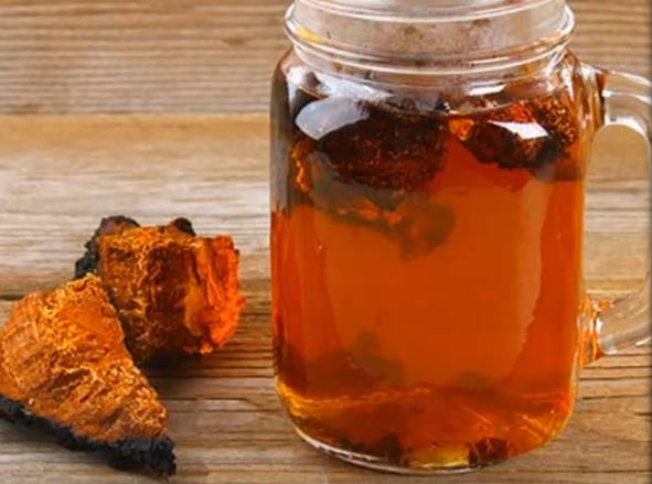 차가버섯 차(tea)