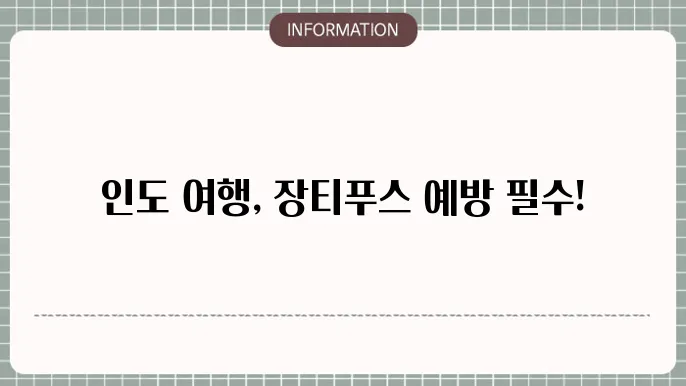 장티푸스 예방접종 필수!