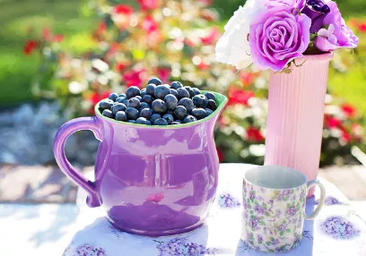 냉동-블루베리-먹는법-효능-건강
