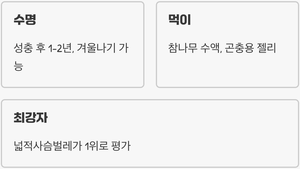 애사슴벌레 싸움 순위&amp;#44; 정말 톱사슴벌레보다 약할까? (싸움 실력 분석)