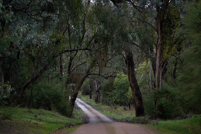 2025 화담숲 가을단풍 취소표 예약 공략법