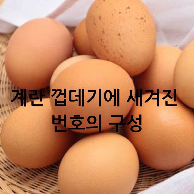 계란에 찍힌 번호&amp;#44; 계란 숫자 표시의 의미