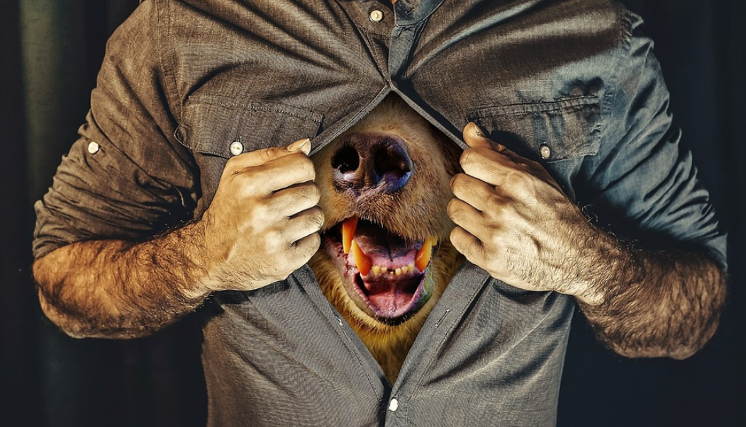 성숙한 관계 갈망