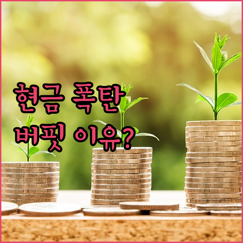 버핏 할아버지, 대체 왜? 현금 폭탄