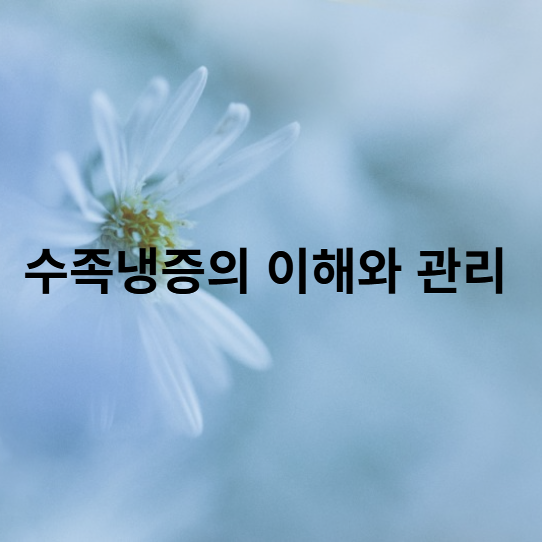 수족냉증 이해와 관리
