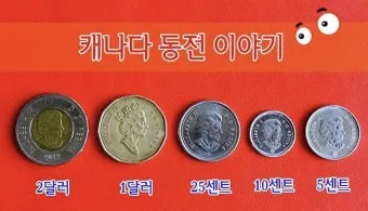 1달러는 몇센트인지 1불과 1달러의 정확한 차이점 알아보기_18