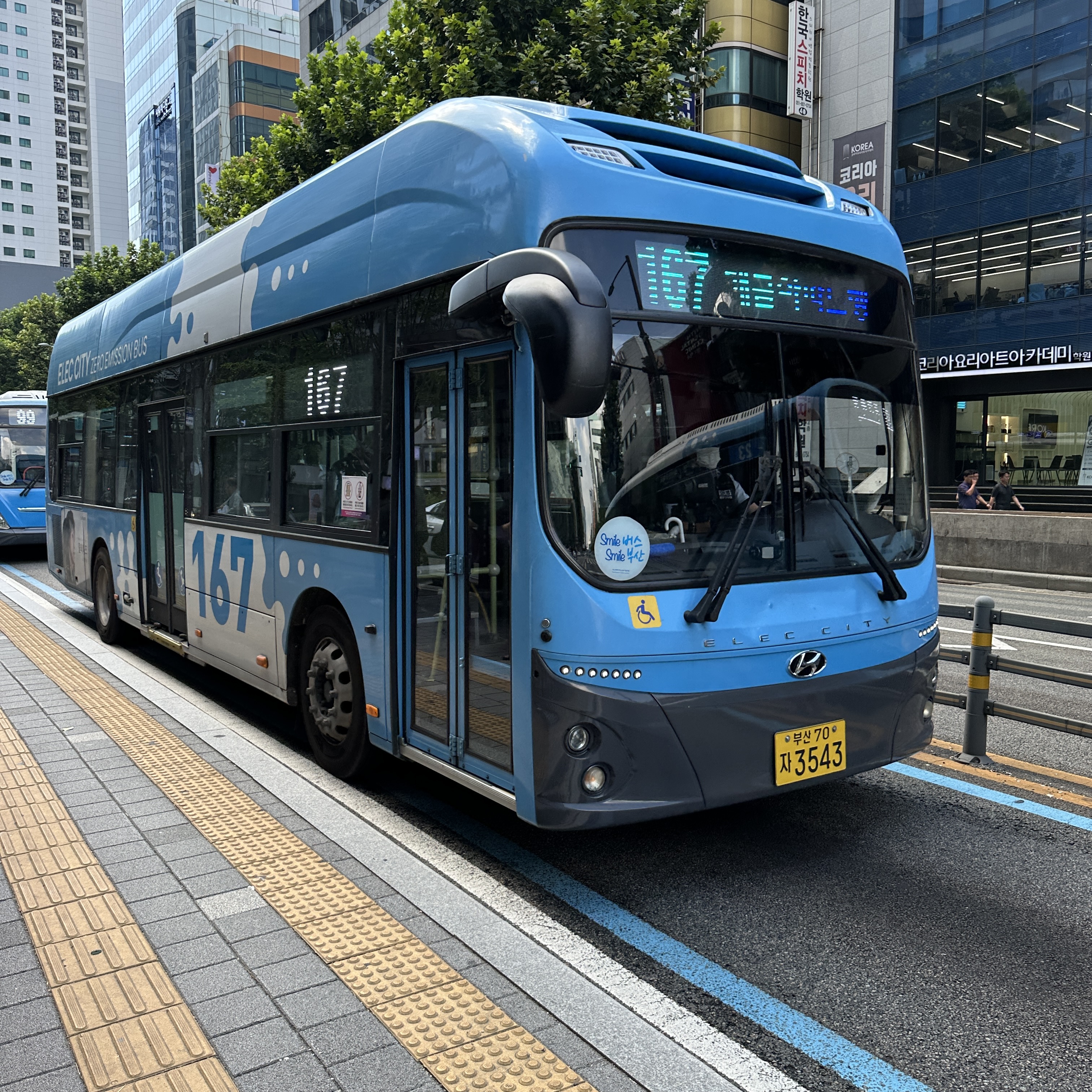 부산167번버스