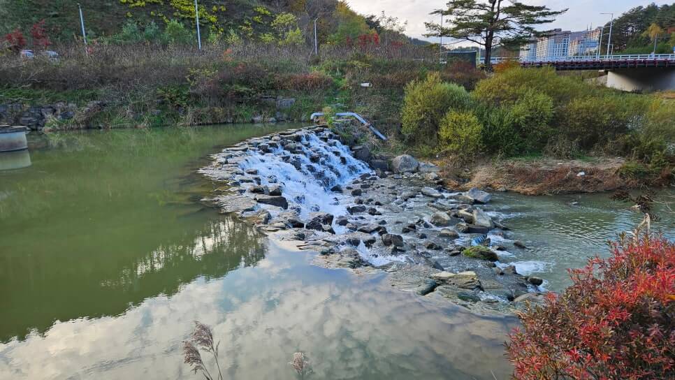 골프장 경험담 모나용평cc 해발 780m 청정 지역의 골프장 용평 리조트