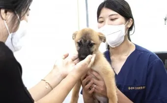 유기동물보호센터 갈 곳 잃은 천사들 희망 이야기_20