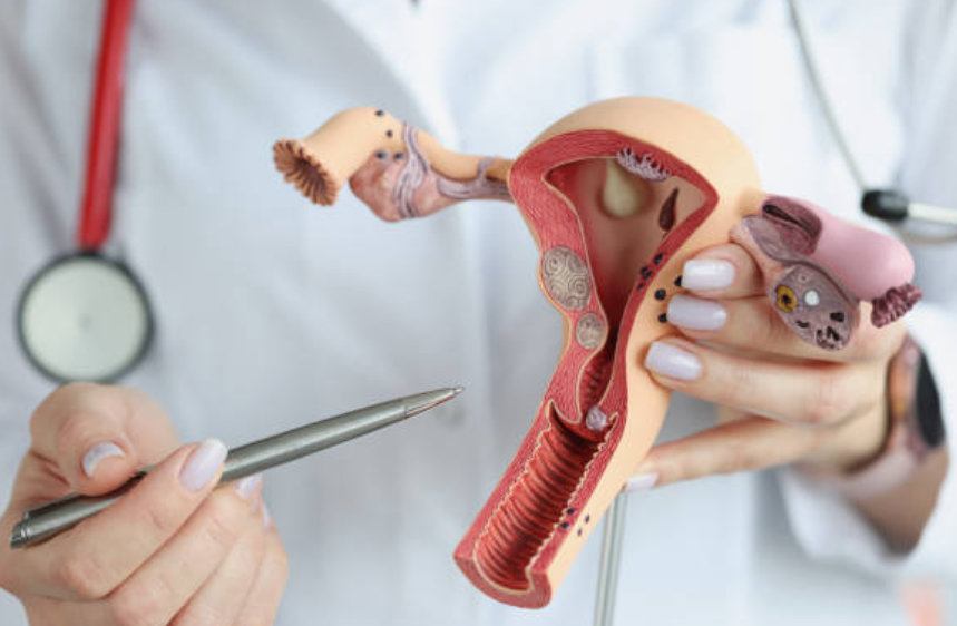 자궁경부암과 관련된 사진1