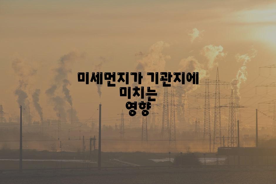 미세먼지가 기관지에 미치는 영향