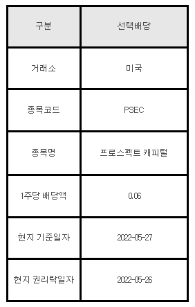 미국주식 선택배당 PSEC