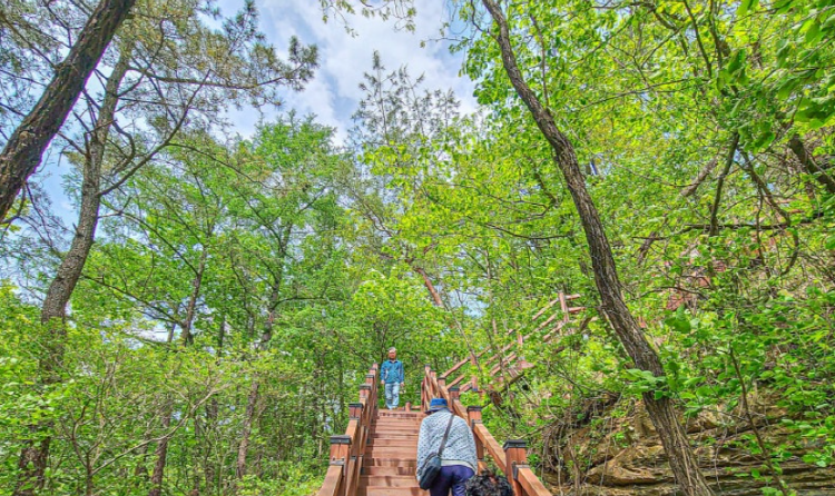 봉명산 출렁다리