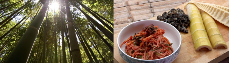 담양 옛국수거리