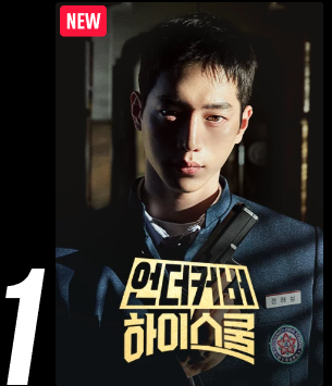 언더커버 하이스쿨