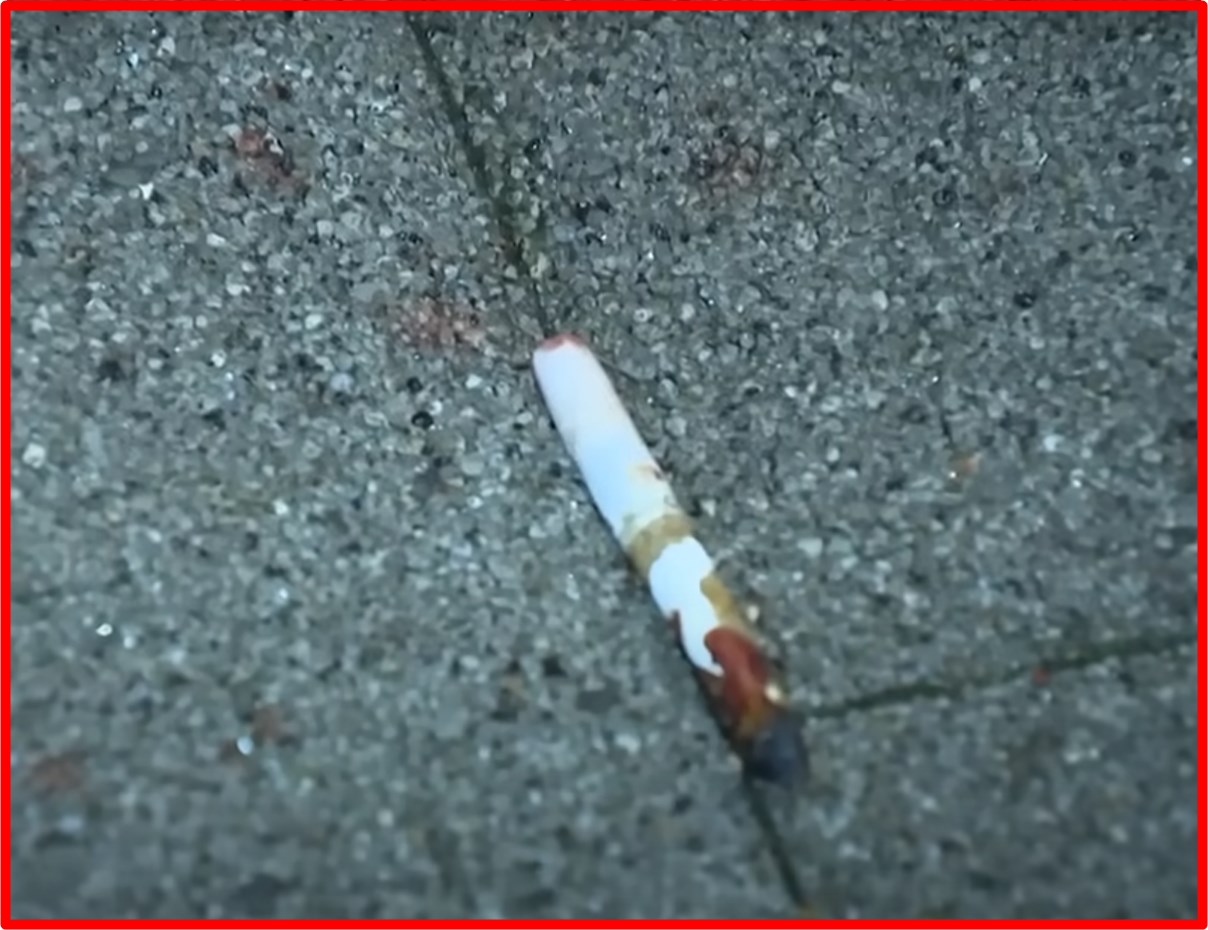 일본도 살인사건