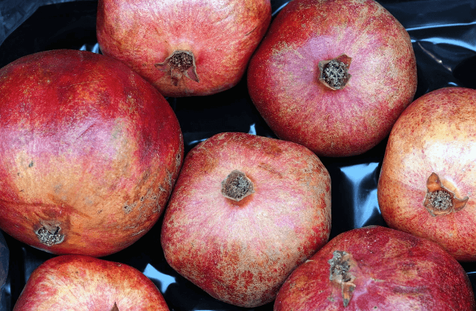 갱년기에 좋은 음식