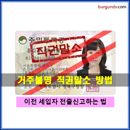 거주불명신고,주민등록말소,강제전출