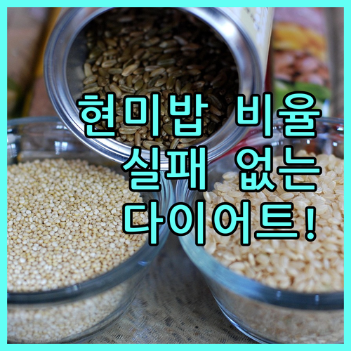 실패 없는 현미밥 다이어트 식단 비율..