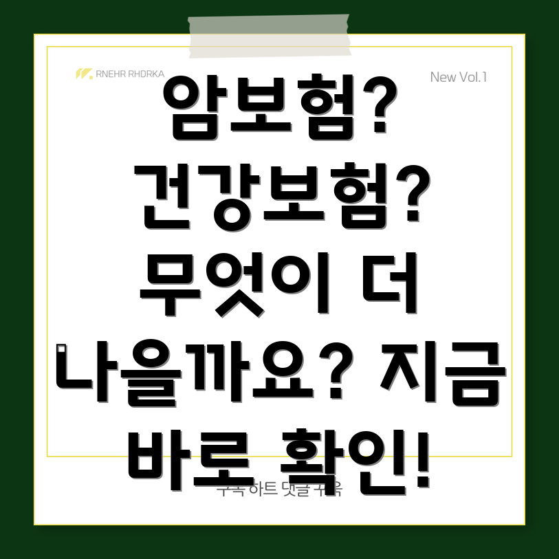 암보험 건강보험 비교