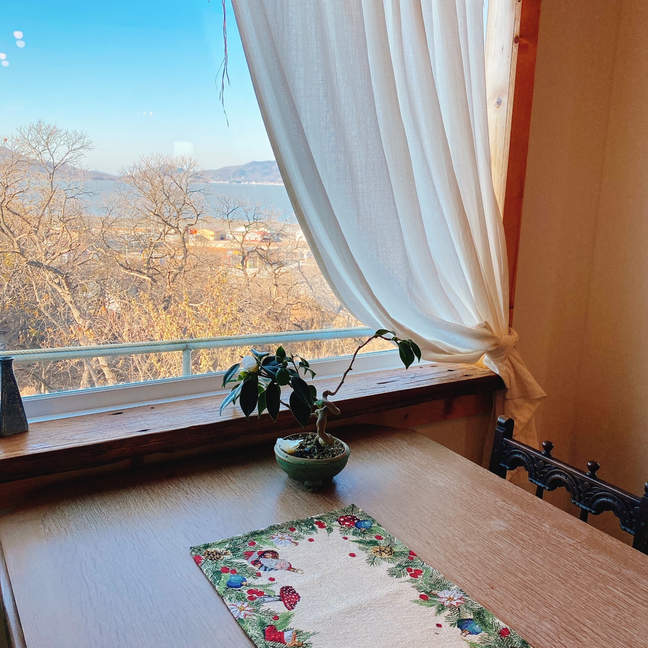 강화도 야생화 뜰 카페